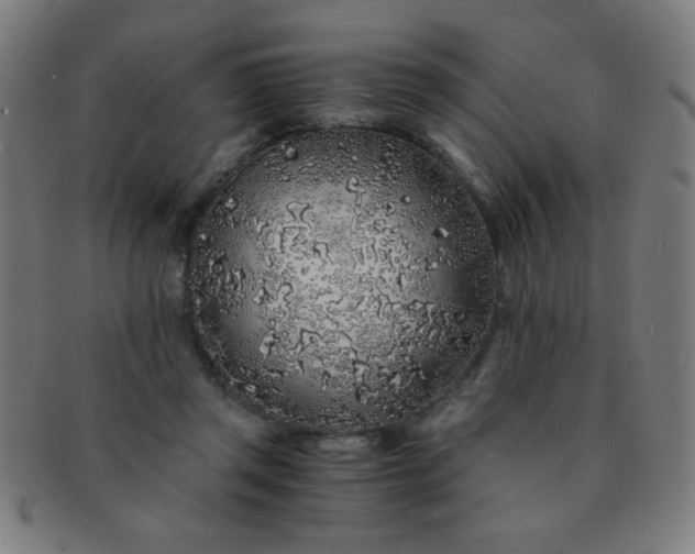 X0000091340357200708241228