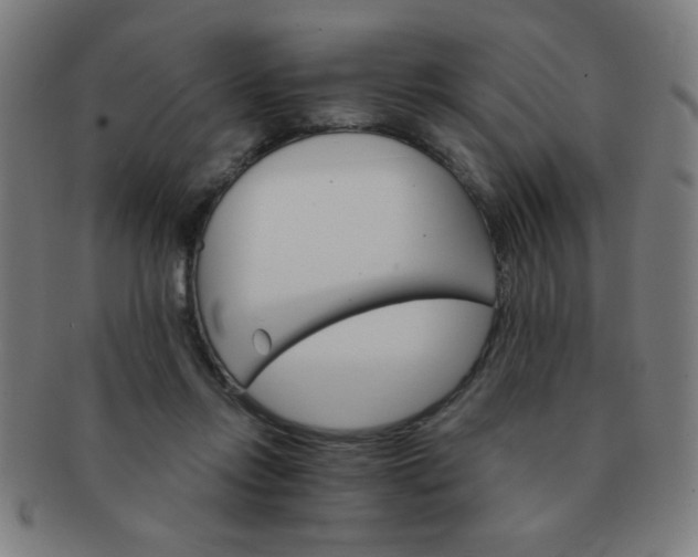 X0000091340358200708241228