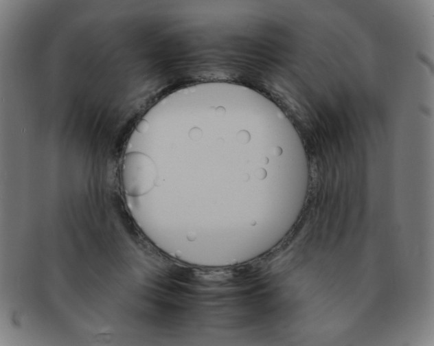 X0000091340359200708241228