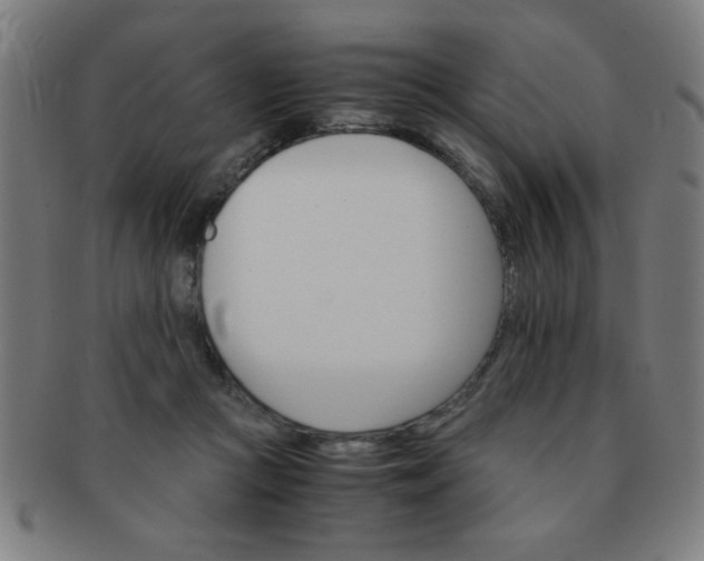 X0000091340361200708241228