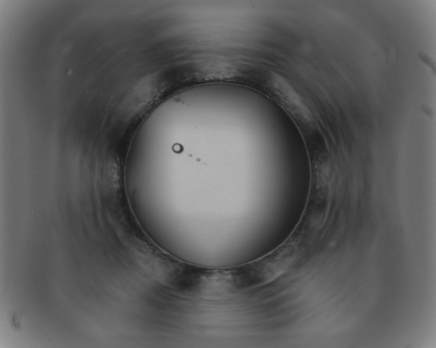 X0000091340362200708241228