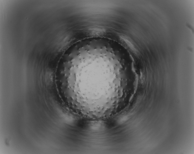 X0000091340363200708241228