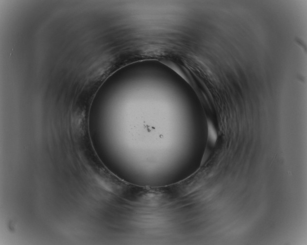 X0000091340364200708241228