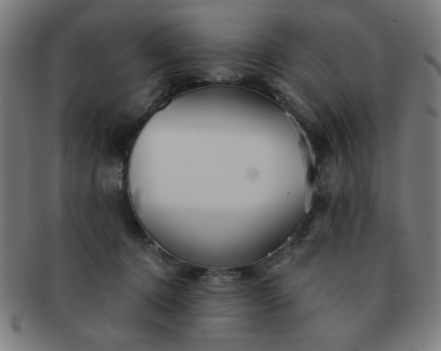 X0000091340368200708241228