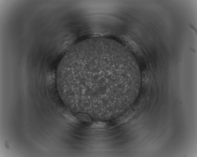 X0000091340369200708241228