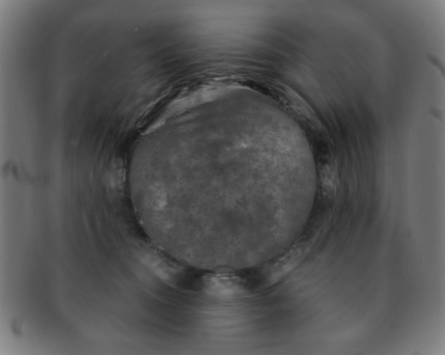 X0000091340372200708241228