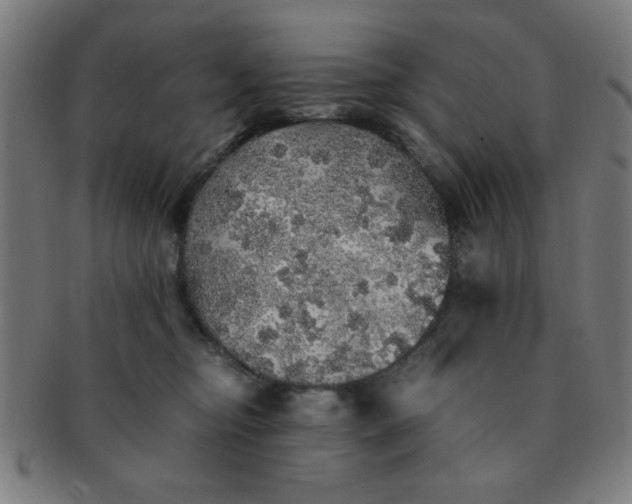 X0000091340374200708241228