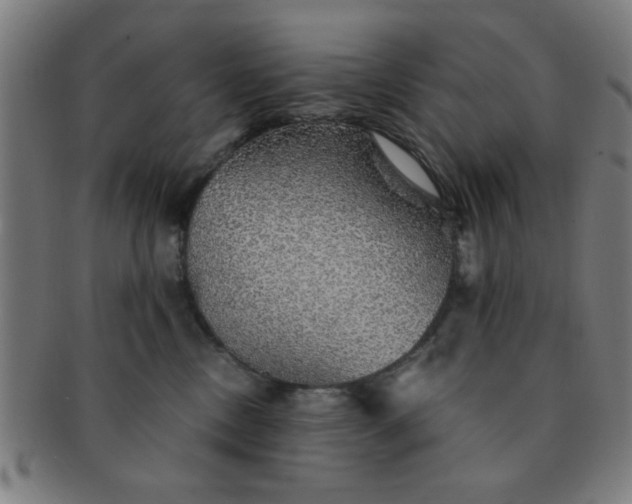 X0000091340378200708241228