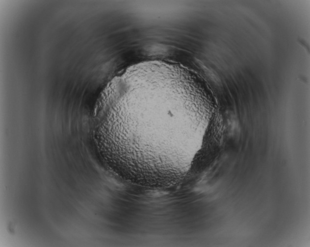 X0000091340379200708241228