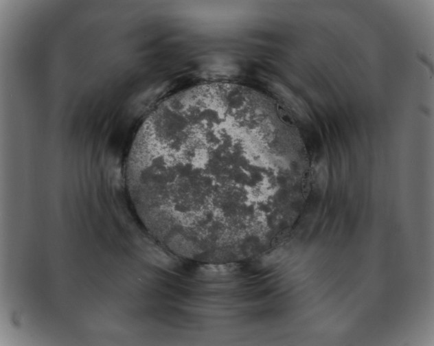 X0000091340381200708241228