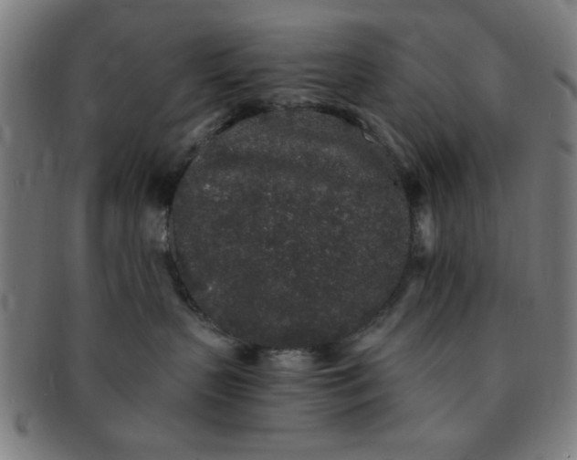 X0000091340383200708241228