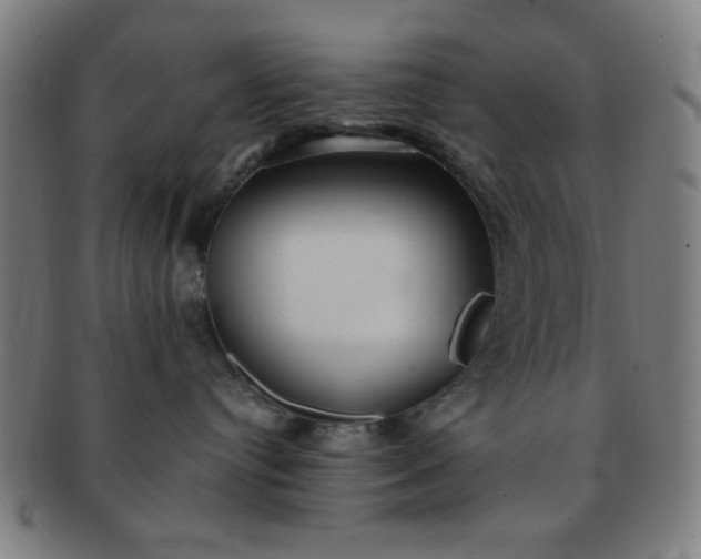 X0000091340384200708241228