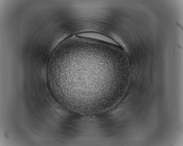 X0000091340386200708241228