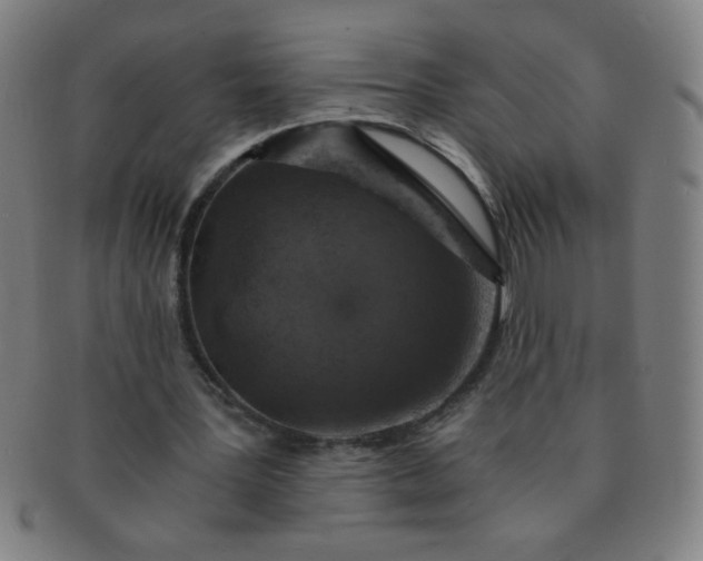 X0000091340387200708241228