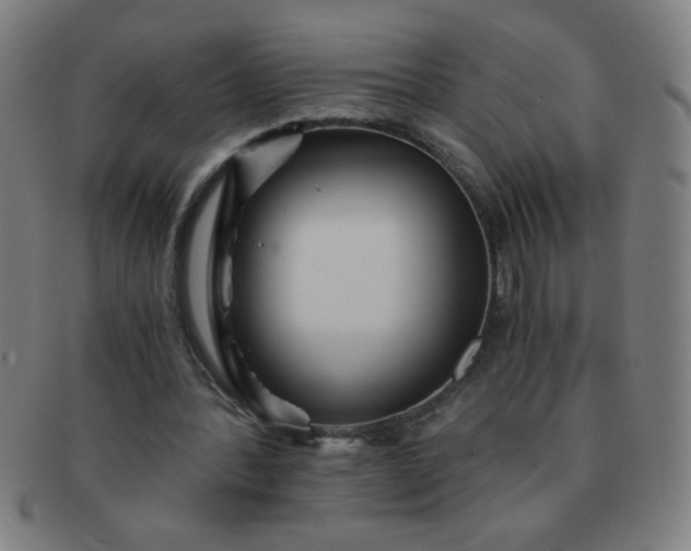 X0000091340388200708241228