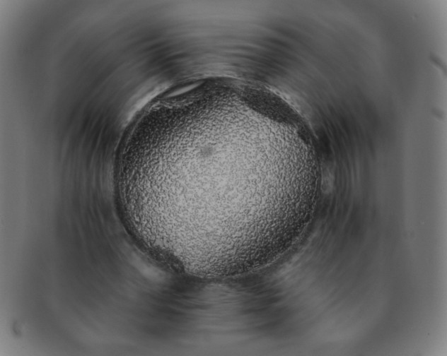 X0000091340390200708241228