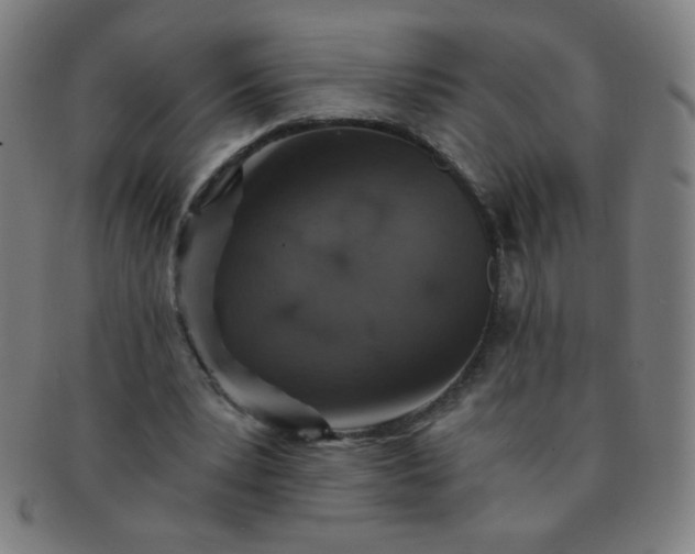 X0000091340391200708241228