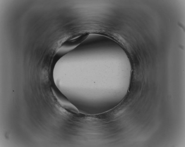 X0000091340393200708241228