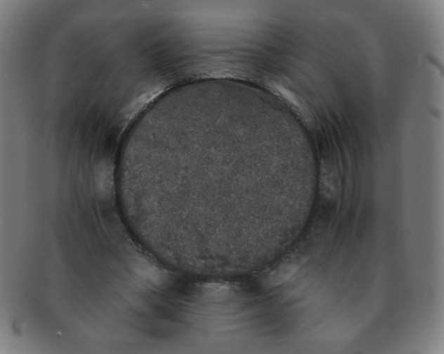 X0000091340394200708241228