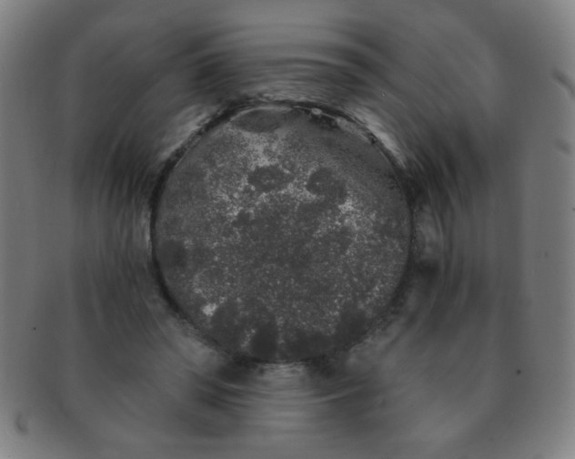 X0000091340398200708241228