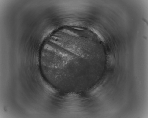 X0000091340399200708241228