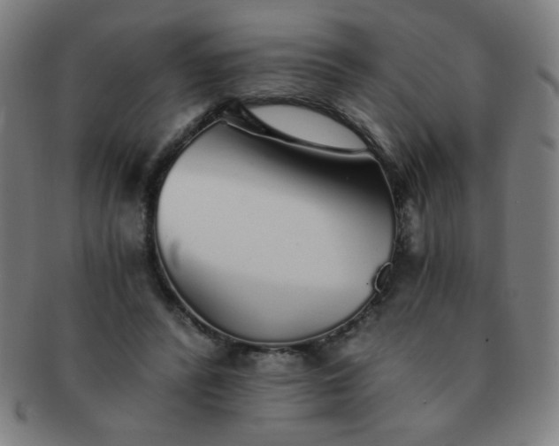 X0000091340400200708241228