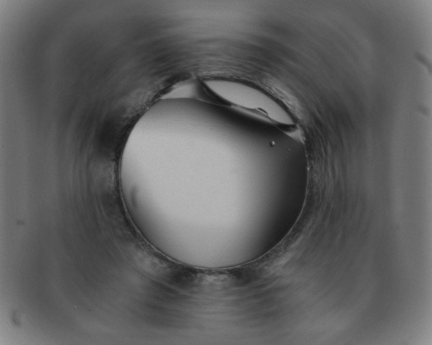 X0000091340401200708241228