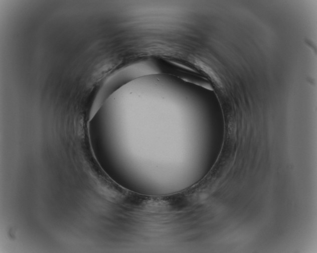 X0000091340403200708241228