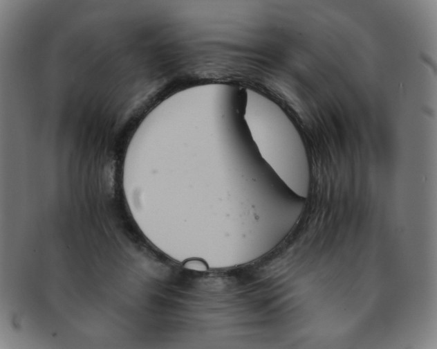 X0000091340404200708241228