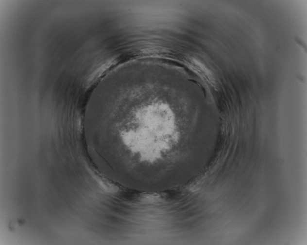 X0000091340405200708241227