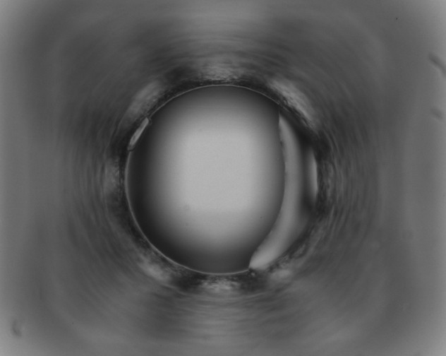 X0000091340407200708241227