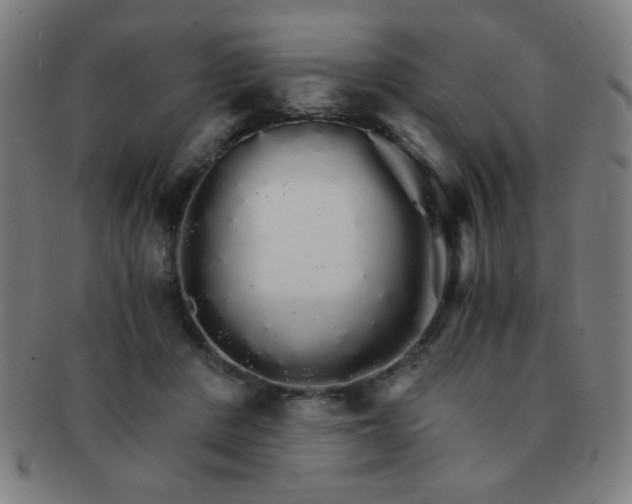 X0000091340408200708241227