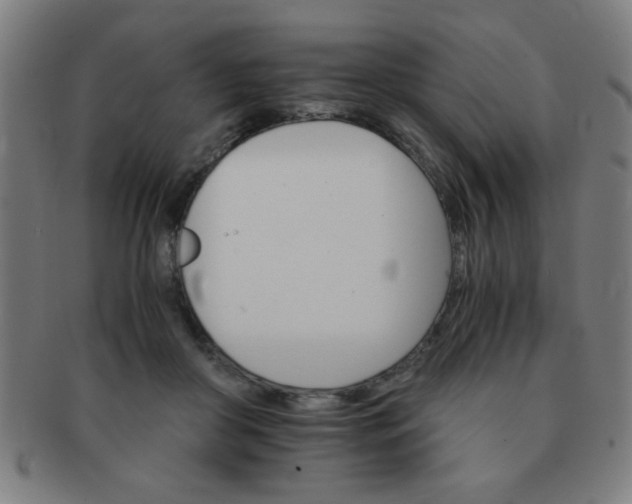 X0000091340410200708241227