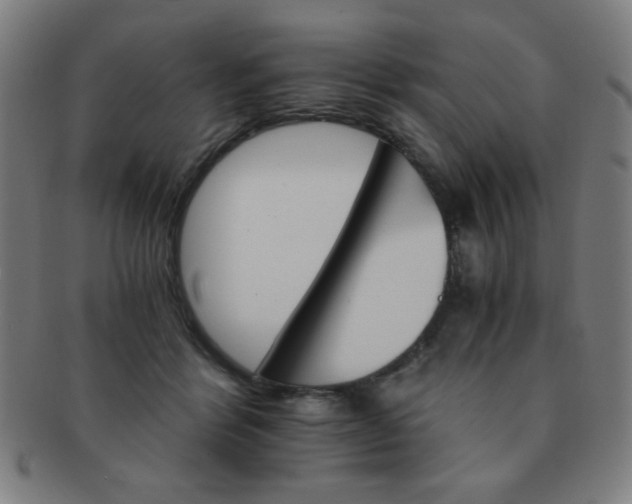 X0000091340412200708241227