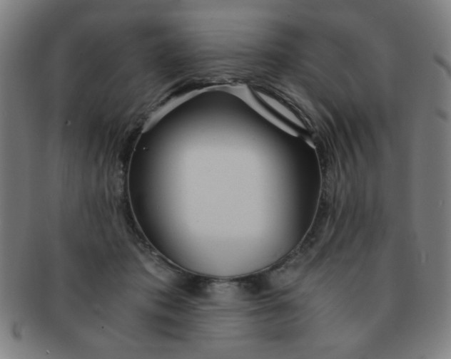 X0000091340413200708241227