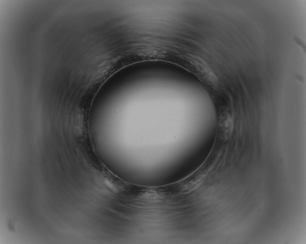 X0000091340416200708241227