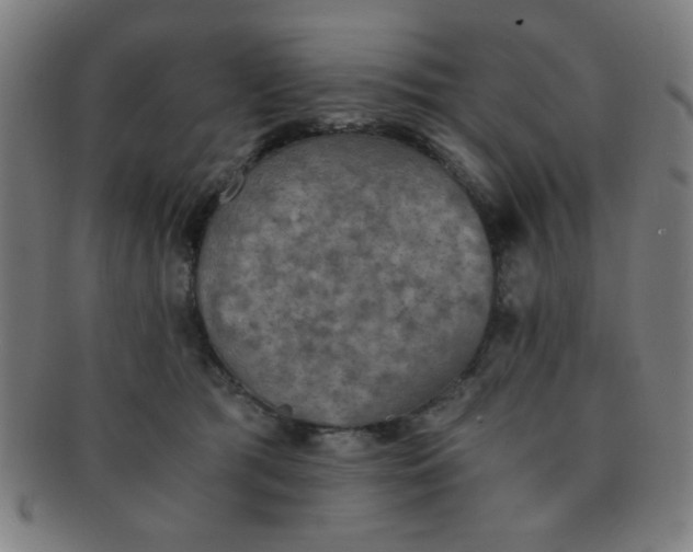 X0000091340417200708241227