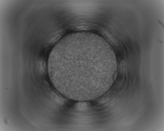 X0000091340418200708241227