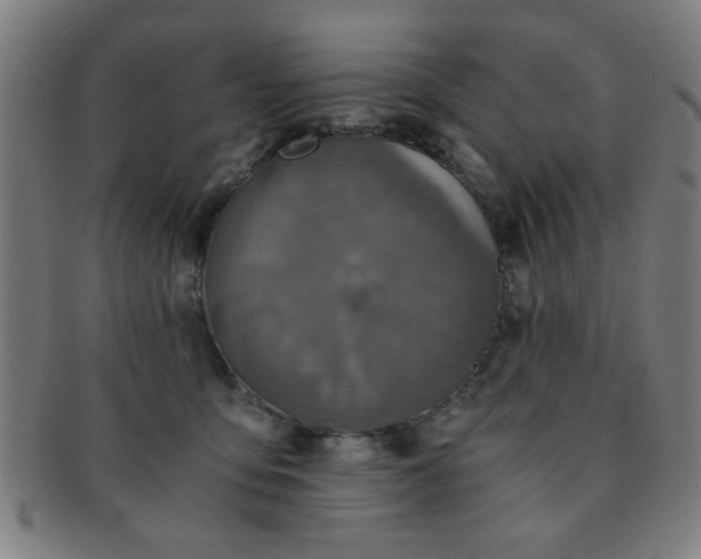 X0000091340419200708241227