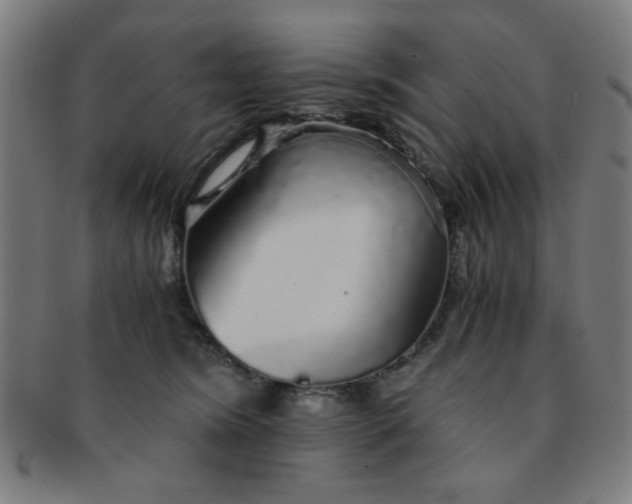 X0000091340420200708241227