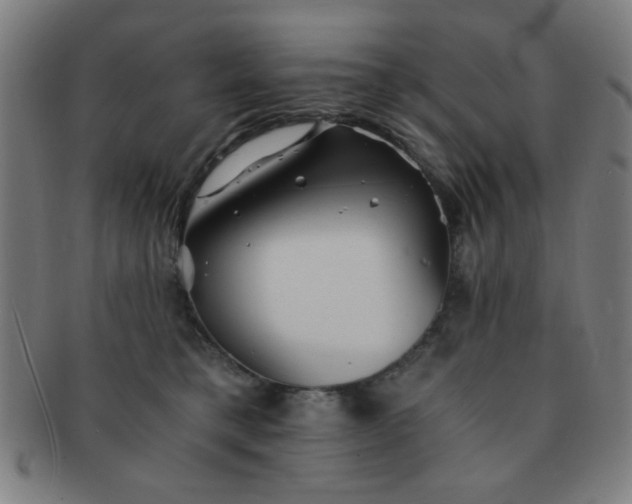 X0000091340421200708241227