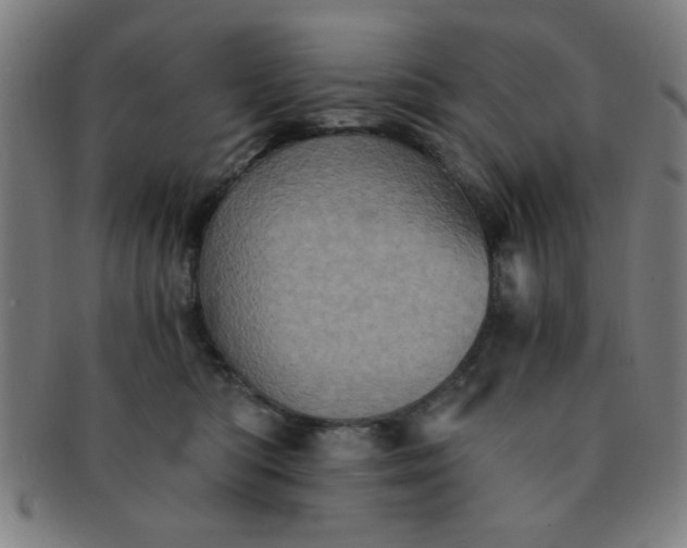 X0000091340422200708241227