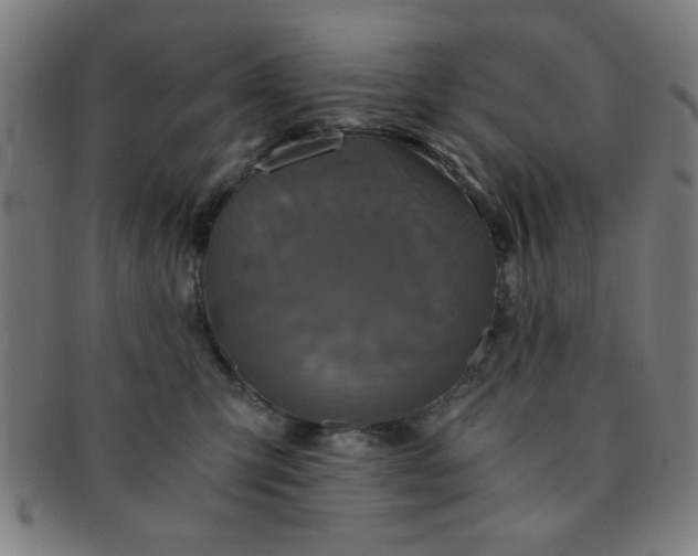 X0000091340423200708241227