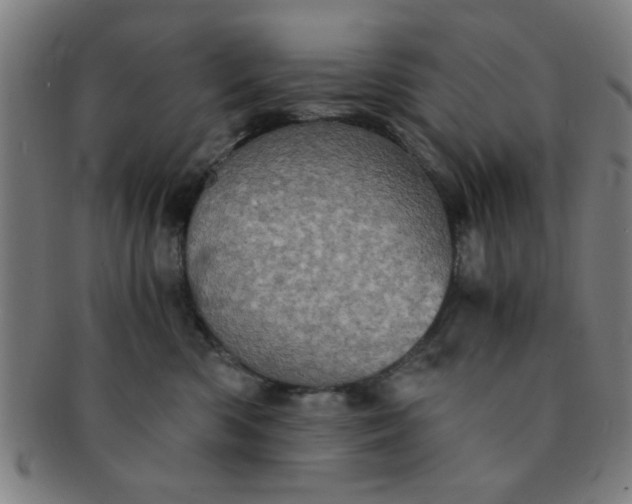 X0000091340426200708241227