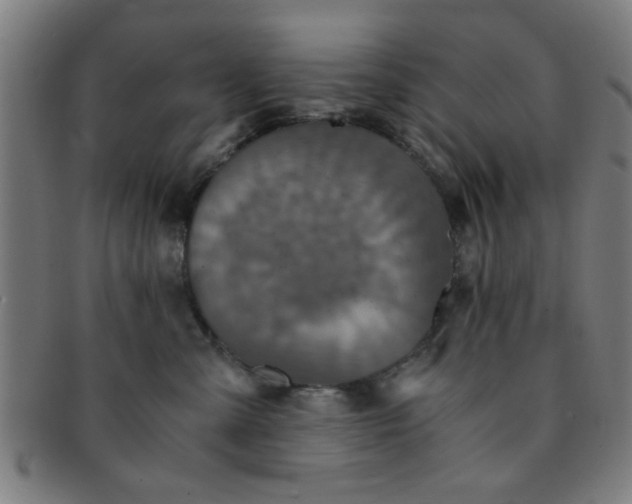 X0000091340427200708241227