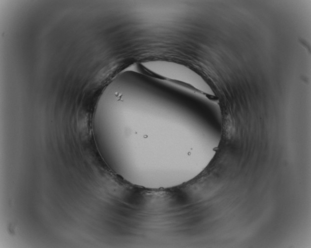 X0000091340428200708241227