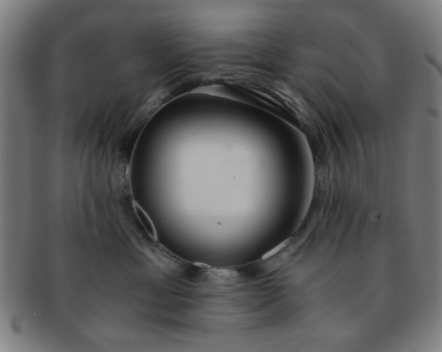 X0000091340429200708241227