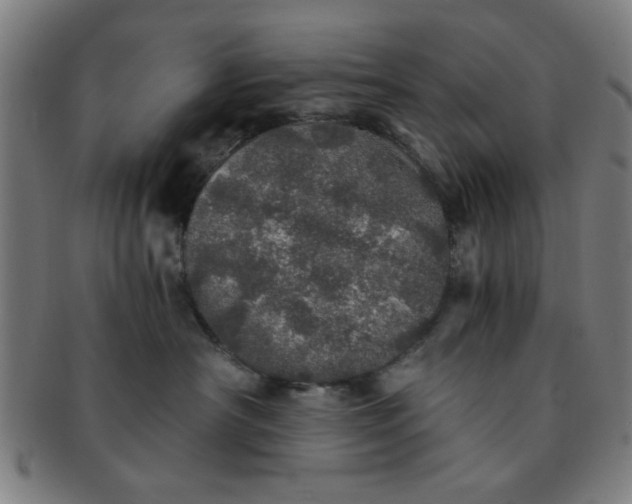 X0000091340430200708241227