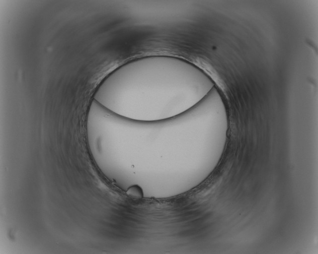 X0000091340433200708241226