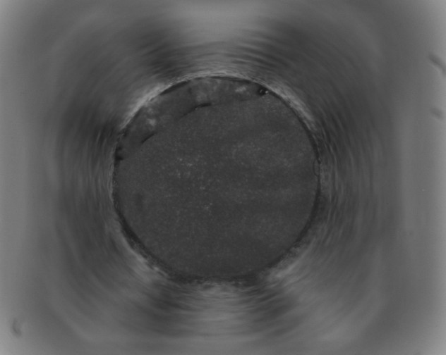 X0000091340434200708241226